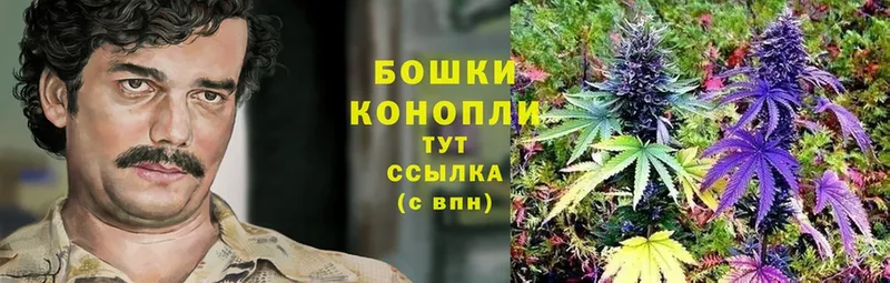 Конопля OG Kush  Ардон 